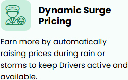 Dynamic Surge Pricing
