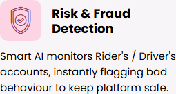 Risk & Fraud Detection